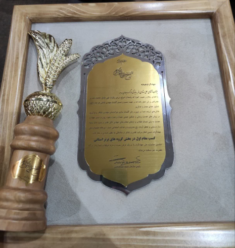 گروه جهادی مهاجر بسیج دانشجویی دانشگاه علوم پزشکی اراک «برترین گروه جهادی کشور» در جشنواره بینالمللی جهادگران شد.