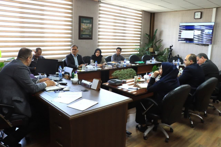 وبینار وزارتی بازنگری ساختار هیأت علمی برگزار شد